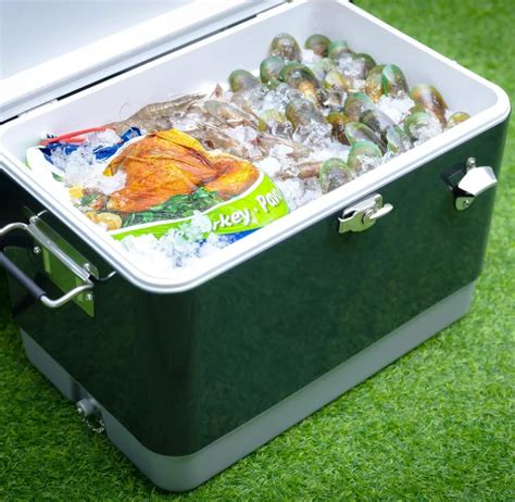 stainless steel cooler box south africa|retro polarbox cooler.